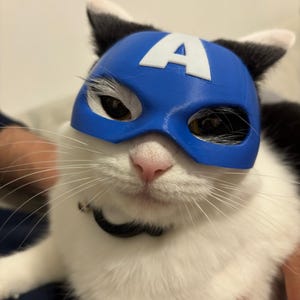 Può includere: Un gatto bianco e nero con una maschera di Capitan America blu e bianca. La maschera ha una lettera 'A' bianca sul davanti.