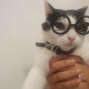 Puede incluir: Un gato blanco y negro con gafas redondas negras y un collar negro. El gato está siendo sostenido por una persona. El gato tiene la nariz rosa y mira a la cámara.