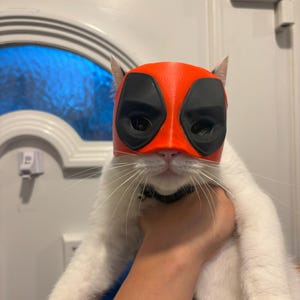 Puede incluir: Un gato blanco con una máscara roja y negra de Deadpool. El gato está siendo sostenido por una mano.