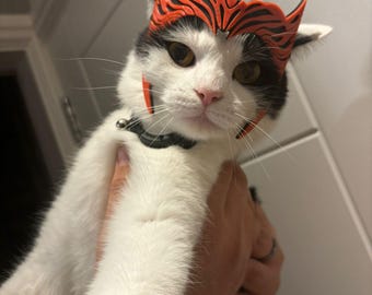 Scarlet Witch Cat Mask