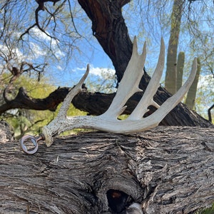 Rose Gold Nontypical Deer Antler Bottle Opener