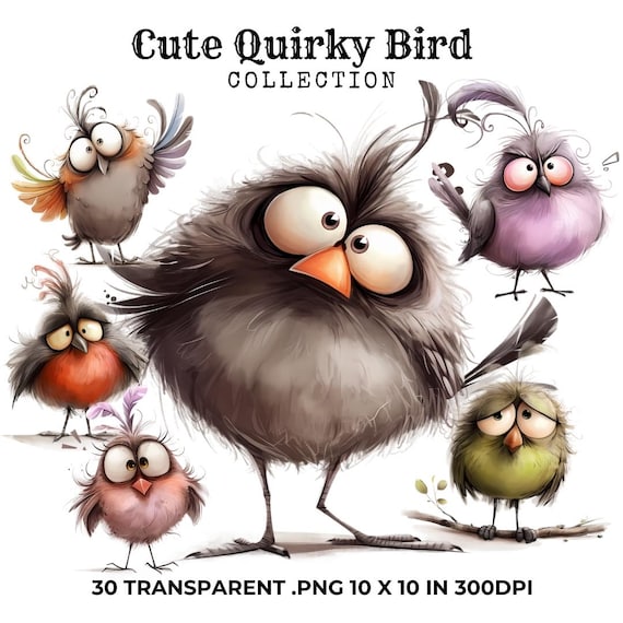 Super Cute Quirky Bird Clipart, Mixed Media Quirky Bird Clip Art, Cute Caricature Birds, Quirky Clipart, Funny Birds PNG, Scrapbooking