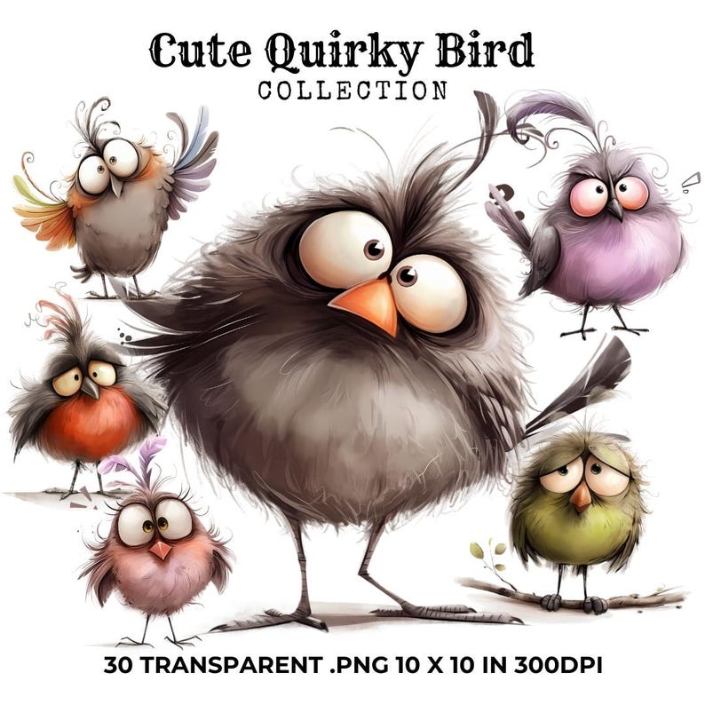 Funny Birds Clipart, Quirky Bird Clipart, Whimsical Bird Png, Whimsical Clipart, Quirky Bird Png, Digital Download, Cute Bird Clipart, Watercolor Bird Png, Cute Birds Png, Watercolor Clipart, Cute Animals Png, Funny Animals Png, Funny Birds Clip Art