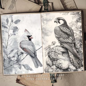 40 Birdwatching Journal Kit - Digitale Aufkleber & bedruckbare Seiten - Perfekt für Naturliebhaber - Scrapbooking Zubehör - Digitaler Download