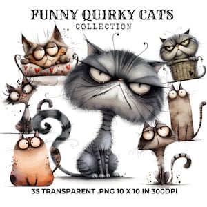 35 Lustige schrullige Katzen Clipart Bundle, lustige Katzen Png, digitaler Download, kommerzielle Nutzung, Süße Katze Clipart, Papier Handwerk, Trending Clipart, PNG