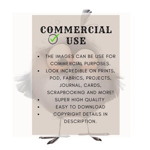 May include: A cartoon bird with a checkmark next to the word "COMMERCIAL" and the word "USE" below it. The text below the bird says "The images can be use for commercial purposes. Look incredible on prints, pod, fabrics, projects, journal, cards, scrapbooking and more! Super high quality. Easy to download. Copyright details in description."