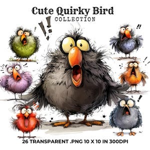 Crazy Quirky Bird Clipart, Mixed Media Quirky Bird Clip Art, Cute Caricature Birds, Quirky Clipart, Funny Birds PNG, Birds Printable