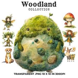 Lot de 30 images de conte de fées des bois, chambre de bébé Woodland, téléchargement numérique, usage commercial, décoration de chambre d'enfant, créations créatives en papier, clipart tendance, PNG