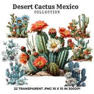 Aquarelle Cactus Clipart PNG Cactus mexicain du désert Clipart PNG Cactus avec fleurs Clip Art, graphiques imprimables floraux, plantes du désert Png
