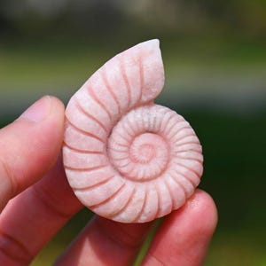 1.8" Natural Pink Opal Shell Carved,Quartz Pendant,Reiki Healing,Crystal Gift,Crystal Decor,Home Ornament,Crystal Figurine,Conch Sculpture
