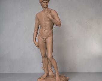Michelangelos David Sculpture | Various Styles
