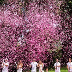 XL PINK biodegradable Confetti Gender Reveal Cannon