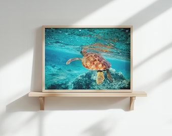 Sea Turtle Wall Art, Underwater Photography Print (Digital Download)