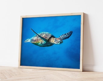 Sea Turtle Photo Print, Underwater Ocean Wall Art (Digital Download)