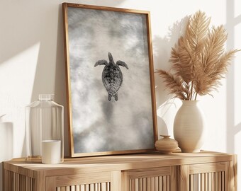 Sea Turtle Photograph, Ocean Wall Art (Digital Print)