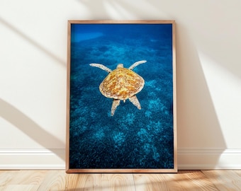 Green Sea Turtle Photograph, Ocean Wall Art (Digital Download)
