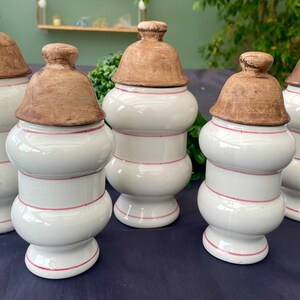 Lot de 5 pots à épices vintage en faïence blanche décor floral rose et vert image 10