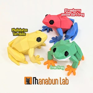 May include: Three 3D printed frog figurines. A red and blue strawberry poison dart frog, a yellow Phyllobates Terribilis frog, and a green tree frog. The frogs are posed on a white surface.