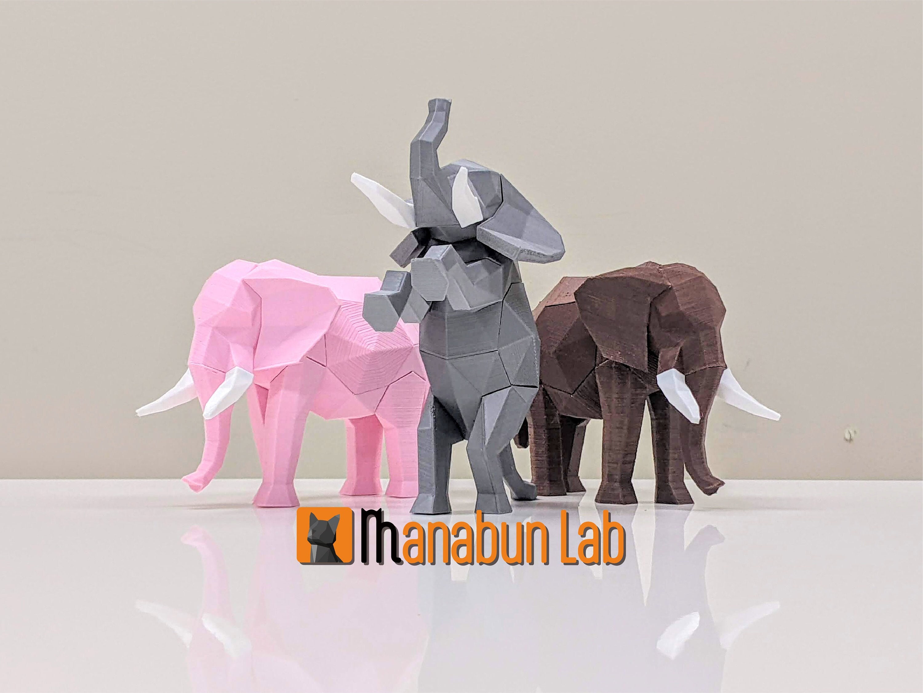 アート・デザイン・音楽 ELEPHANT BRAND HIRATA KAZUHISA elephant