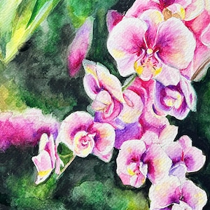 Pink Orchid Watercolor Original Painting  - Original Artwork