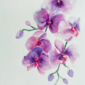 Orchid Watercolor Painting – Orchid Serenity - Original Artwork