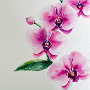 Pink Orchid Watercolor Painting – Floral Art on Paper - Original Artwork