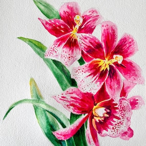 Crimson Orchid Trio Watercolor Painting – Red Pink Orchid Flower Art - Original Artwork