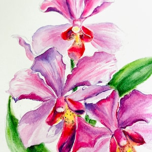 Cattleya Orchid Watercolor Painting – Floral Art on Paper - Original Artwork