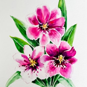 Miltonia Orchid Watercolor Painting – Floral Art on Paper - Original Artwork