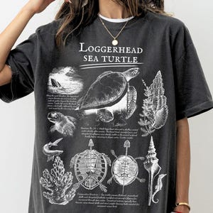 May include: A charcoal gray short-sleeve t-shirt featuring a white graphic print of a Loggerhead Sea Turtle, various shells, and marine life illustrations. The design includes detailed scientific text descriptions alongside the sea turtle imagery.
