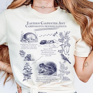 Comfort Colors Ants Lover Shirt, Who Loves Ants Shirt, Ant Keeper Gift, Botanical Entomology Shirt, Ant Lover Gift, Insects Lover Gift,