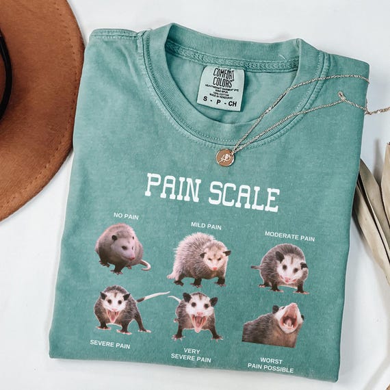 Nurse Pain Scale Pain Assessment Comfort Colors Shirt, Funny Nurse Tee, Nurse Crewneck, Gift For Nurse, Oversized tee