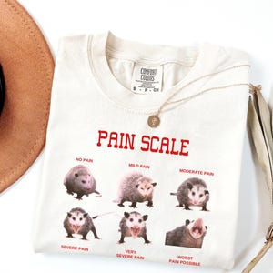 May include: A white t-shirt with a red graphic that says "Pain Scale" and features a series of images of opossums with different facial expressions, each labeled with a different level of pain, from "No Pain" to "Worst Pain Possible".