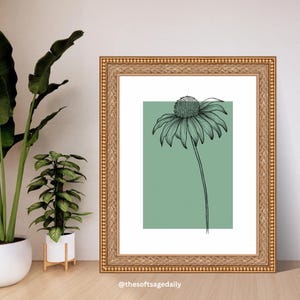 Minimalist Botanical Wall Art Printable, Sage Green Floral Line Art for Bathroom, Bedroom, Living Room or Kitchen – Sage Green Botanical