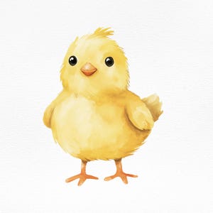 Clipart de pollito de acuarela, lindo PNG de Pascua, arte de animales de granja, descarga digital, álbum de recortes, decoración de guardería, archivo de sublimación, imprimible