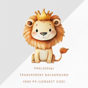 May include: A watercolor illustration of a cute lion cub wearing a gold crown. The lion has a fluffy, orange mane and tail, with a light tan body and rosy cheeks. The image includes the text "PNG|300dpi" and "TRANSPARENT BACKGROUND 4000 PX (LONGEST SIDE)".
