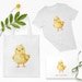 Watercolor Baby Chick Clipart, Cute Easter PNG, Farm Animal Art ...