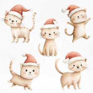 Kerstkat clipartbundel | Leuk vakantiekatje png-set | Illustraties kerstman voor kaarten, stickers, sublimatie en knutselen
