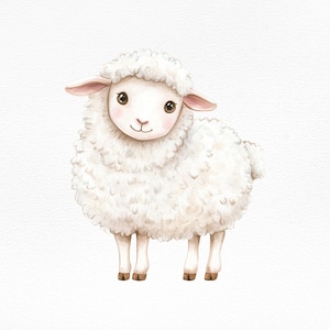 Clipart di pecore ad acquerello PNG, arte digitale di simpatici animali da fattoria, illustrazione di agnello per bambini, grafica per baby shower, arte murale stampabile, sublimazione