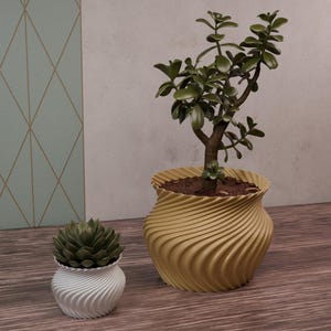 May include: Two potted plants with a spiral design on the pots. The larger plant has green leaves and is in a yellow pot. The smaller plant has green leaves and is in a white pot.