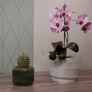 Peut inclure: Deux plantes en pot, une orchidée rose dans un pot blanc à motif chevron et un cactus vert dans un pot vert à motif chevron.