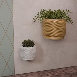 Peut inclure: Deux pots de fleurs muraux à motifs géométriques, l'un blanc et l'autre doré, avec des plantes qui poussent à l'intérieur. Les pots sont fixés à un mur beige clair.