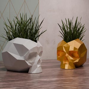 Puede incluir: Dos macetas de calavera geométricas, una blanca y otra dorada, con plantas verdes que crecen en la parte superior.