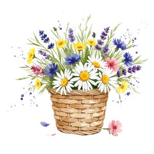 10 Clipart di fiori di cesto di alta qualità, download digitale, perfetti per biglietti d'auguri, magliette, poster da parete, clipart di fiori ad acquerello, pacchetto PNG