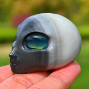 2.3&quot; Natural Taichi Stone Aline Carved,Crystal Skull,Healing Crystal,Carved Skull,Skull Decor,Carved Crystal,Halloween Gift,Skull Ornament