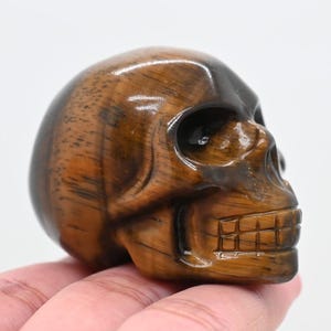 Caveira de olho de tigre natural de 2" esculpida, caveira de cristal, cristal de cura, caveira esculpida, decoração de caveira, cristal de jaspe, presente de Halloween, enfeites de caveira