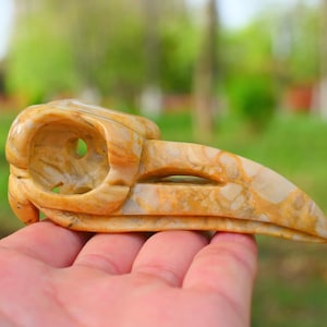3,8&quot; natuurlijke gekke agaat kraai schedel gesneden, vogelschedel, genezend kristal, lyrische schedel, kraai schedel decor, halloween cadeau, schedel ornament, agaat schedel