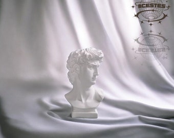 David Head Bust Statue Makeup Organizer - Renaissance Inspired Vanity Storage - Handcrafted Artistic Beauty Holder Artistic Vanity Storage