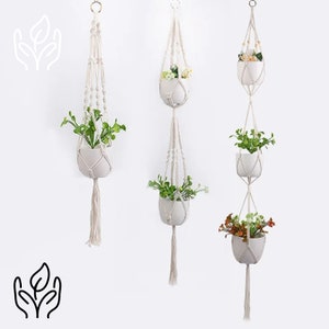 May include: Three macrame plant hangers with white ceramic pots, each filled with greenery and flowers. The hangers are suspended from metal rings and feature intricate knotting and tassel details. The background is a plain white wall.