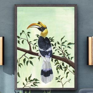 Lámina de cálao grande: arte mural tropical, póster botánico estilo Audubon, ilustración de aves exóticas de la selva tropical, colección de aves